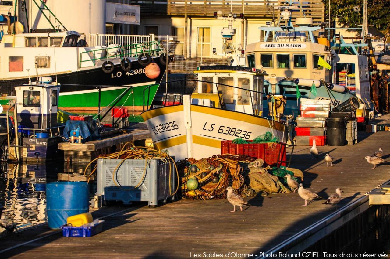 Willa Domaine Les Rousselieres Olonne-sur-Mer Zewnętrze zdjęcie
