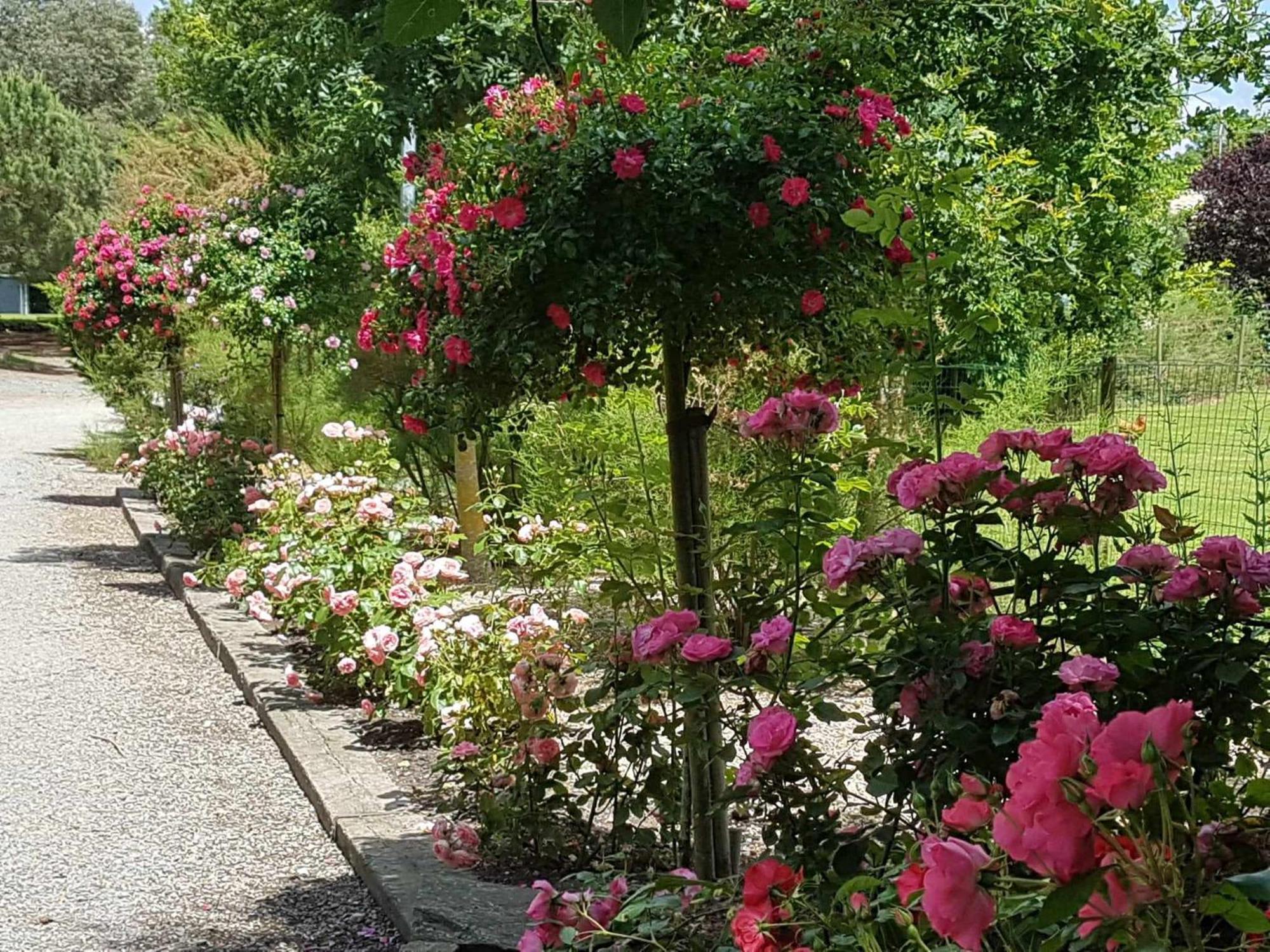 Willa Domaine Les Rousselieres Olonne-sur-Mer Zewnętrze zdjęcie