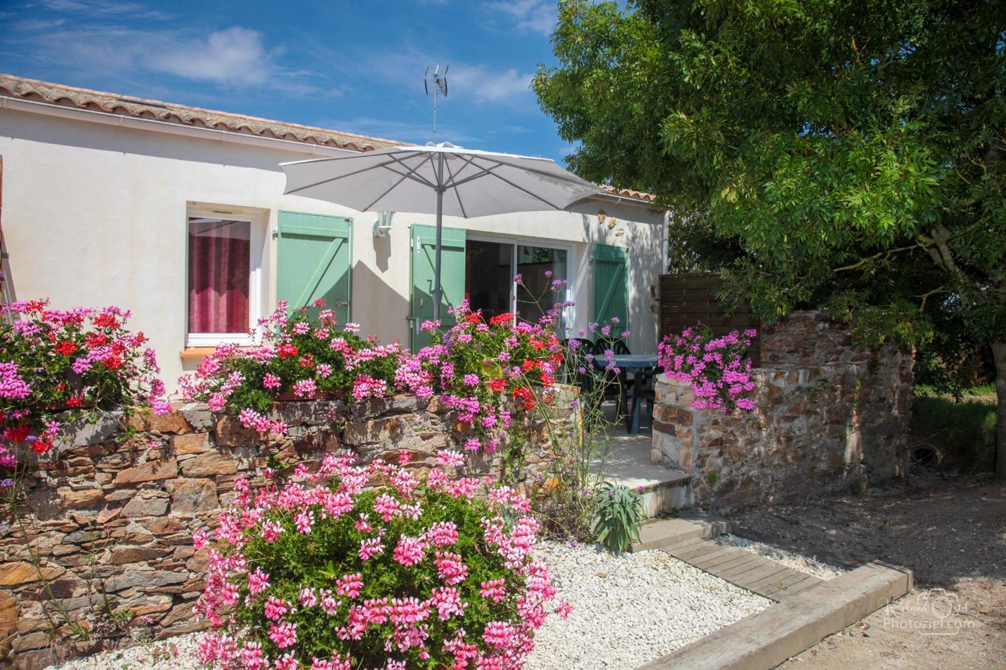 Willa Domaine Les Rousselieres Olonne-sur-Mer Zewnętrze zdjęcie
