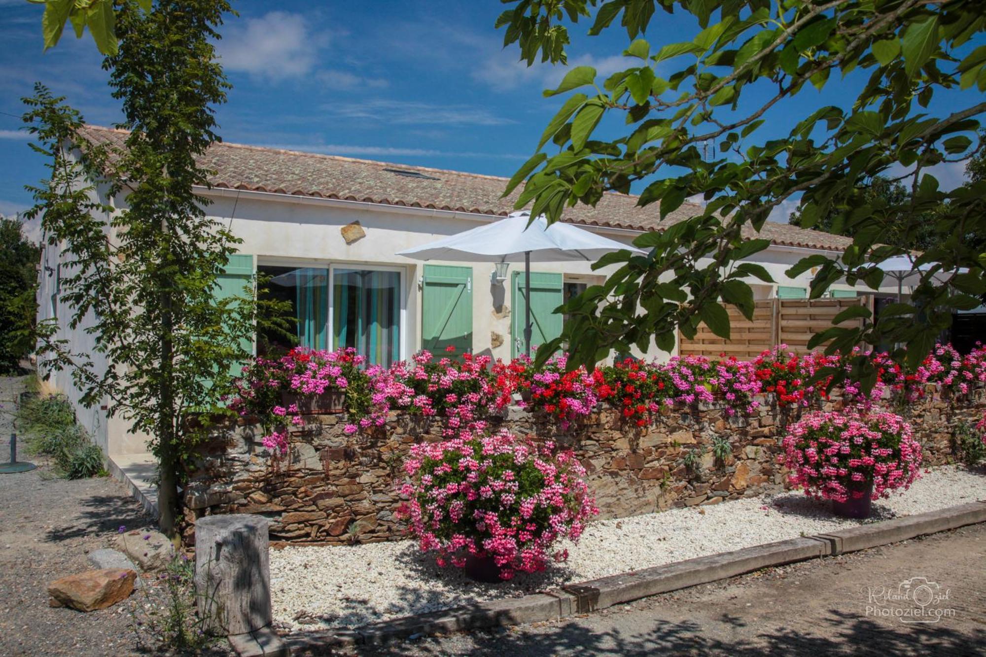 Willa Domaine Les Rousselieres Olonne-sur-Mer Zewnętrze zdjęcie