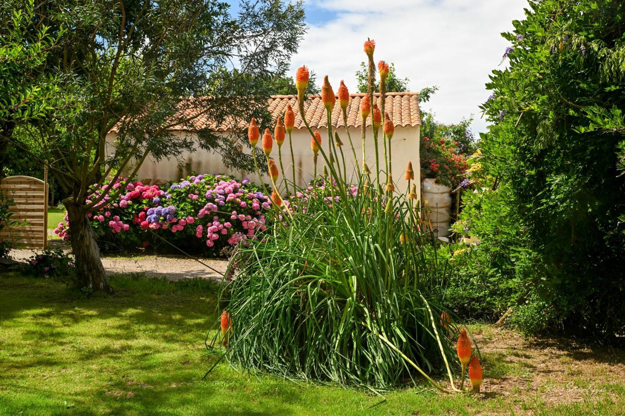 Willa Domaine Les Rousselieres Olonne-sur-Mer Zewnętrze zdjęcie
