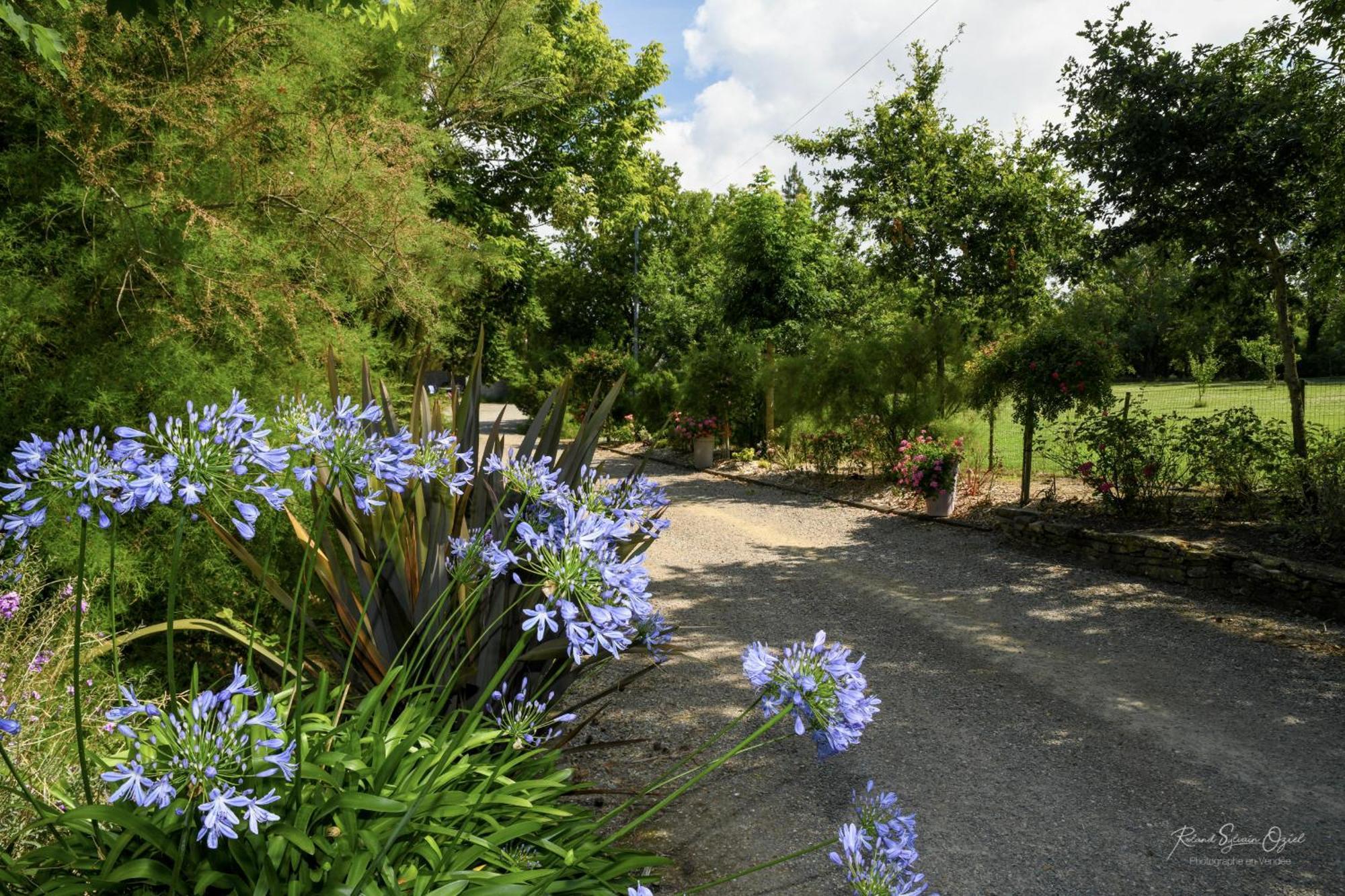 Willa Domaine Les Rousselieres Olonne-sur-Mer Zewnętrze zdjęcie